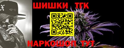 spice Гусев