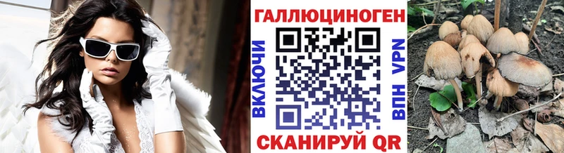 OMG ONION  как найти   Новороссийск  Галлюциногенные грибы прущие грибы 
