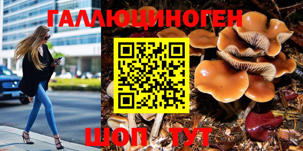 как найти наркотики  Галлюциногенные грибы MAGIC MUSHROOMS  Вход с VPN  Новороссийск 