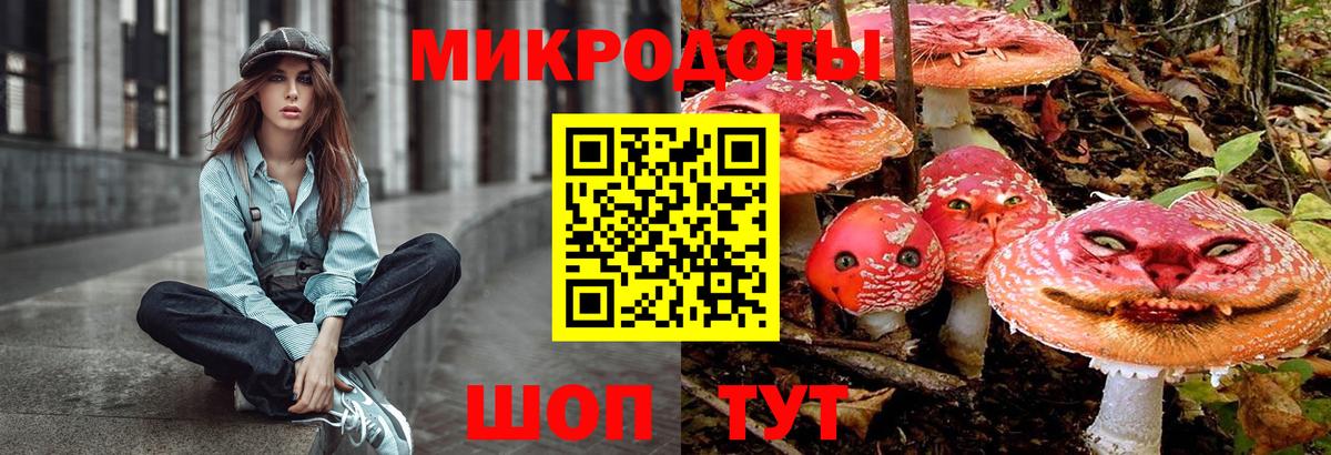 Псилоцибиновые грибы мицелий Новороссийск